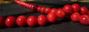Corail